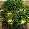 18" LED UV Resistant Boxwood Ball Topiary in Decorative Planter